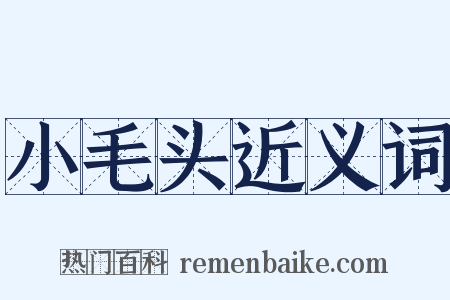 小毛头近义词是什么意思的图片